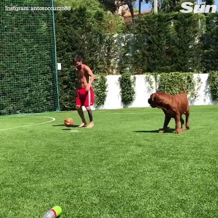 RT @TheSunFootball: Confirmed: No man nor mammal can get near Lionel Messi???????? https://t.co/t21E90f7TL