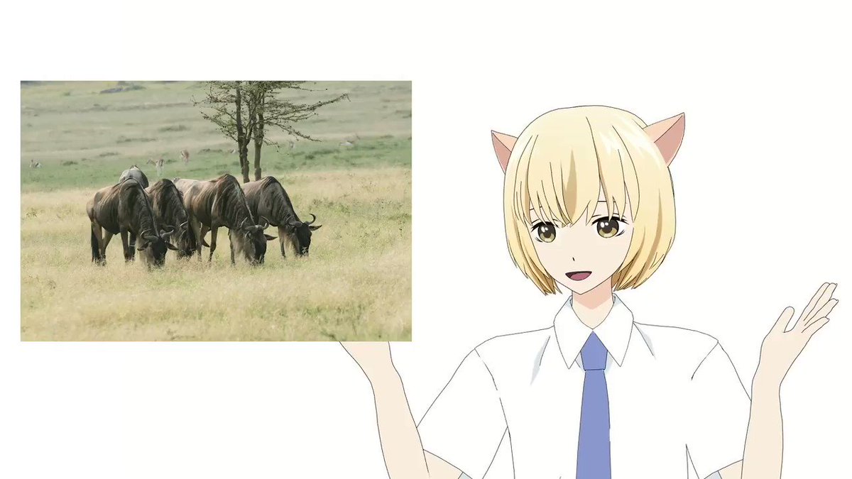 今回も新企画‼「写真を可愛くしてみよう!」に挑戦‼どんな写真も可愛く見えるように出来るかな⁉今日も、なんか大変なことにな 今回も新企画‼「写真を可愛くしてみよう!」に挑戦‼どんな写真も可愛く見えるように出来るかな⁉今日も、なんか大変なことにな