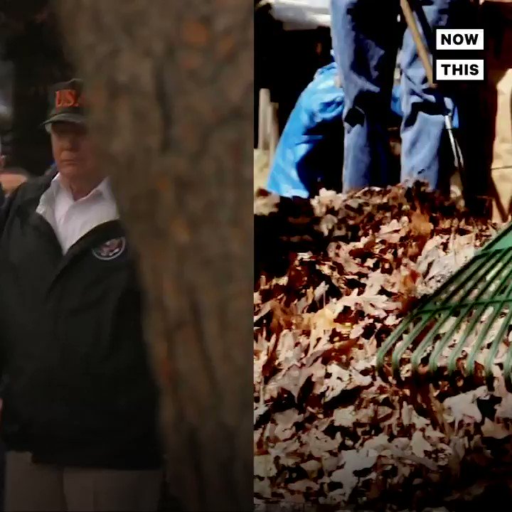 President Trump erroneously suggested raking the forest floors could've prevented the lethal California wildfires, and made other bizarre, inexplicable comments https://t.co/xQGcmPYqhN