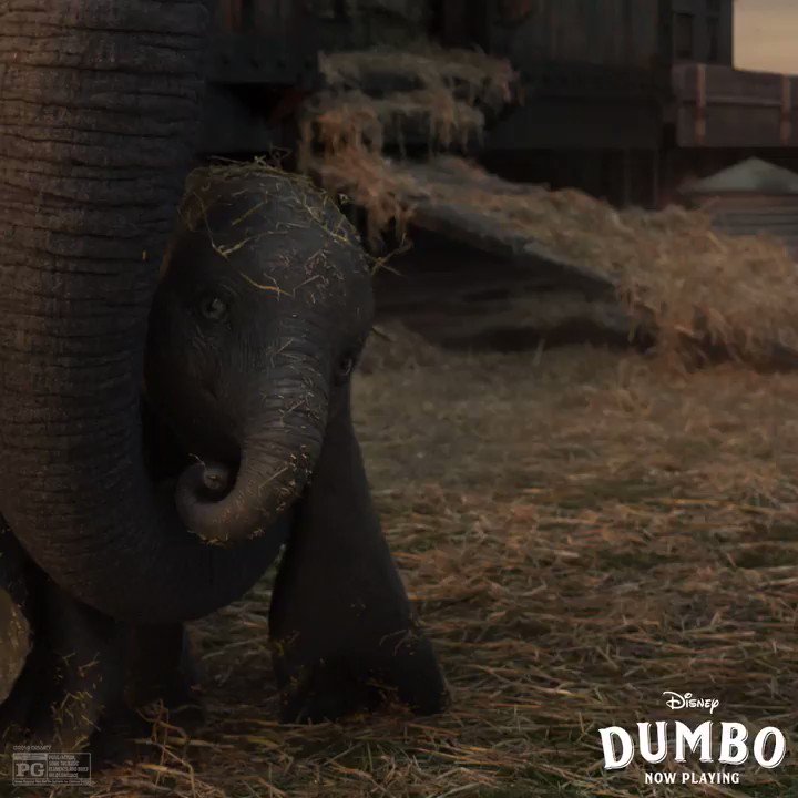 RT @Dumbo: Have you met the newest performer? See #Dumbo soar in theatres now. https://t.co/wkMCnQcFWM