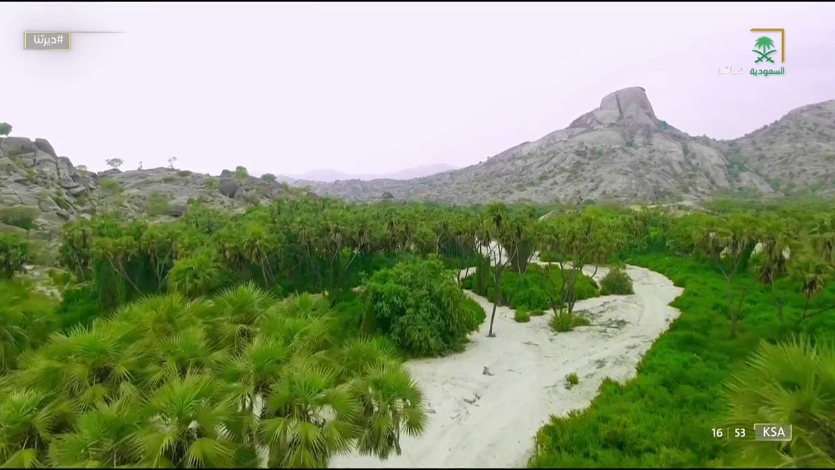 صورة الخبر