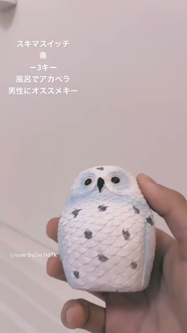 5曲目 スキマスイッチ(雨宮天)『奏』一週間フレンズのEDテーマ。言わずと知れた名曲。聴くと泣けてくる。おすすめキー原曲 5曲目 スキマスイッチ(雨宮天)『奏』一週間フレンズのEDテーマ。言わずと知れた名曲。聴くと泣けてくる。おすすめキー原曲