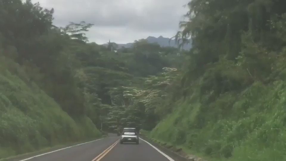 #FBF to my last trip to Kauai. This might be my favorite stretch of road ever. https://t.co/I8sdCO57R1