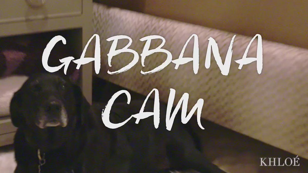 My baby!! See Gabbana’s bedtime routine through this amazing Go Pro video on my app!! https://t.co/dLHioFH5aC https://t.co/zmMWMvO5Yq
