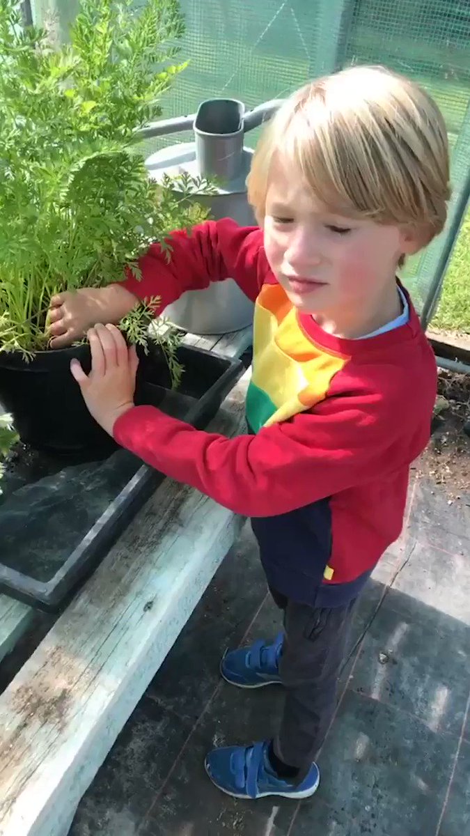 Who else left feeling inspired by Jamie & Buddy to grow their own fruit & veg? ???????? #NationalAllotmentWeek https://t.co/M501vX91AT