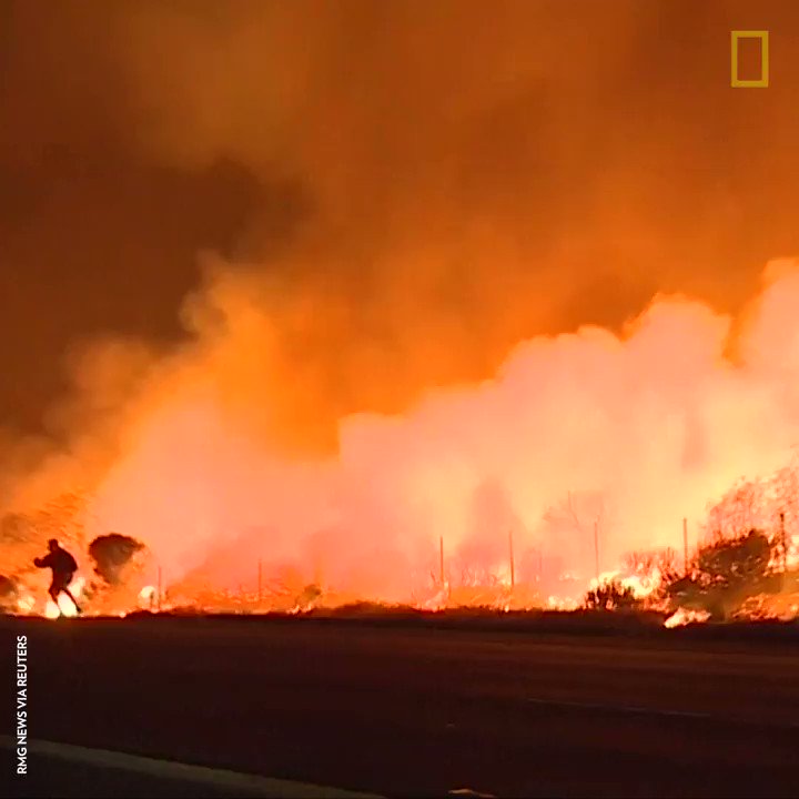 RT @NatGeo: This man jumped into action when he noticed a small rabbit near the fast-spreading flames https://t.co/9lKPbMKE3P