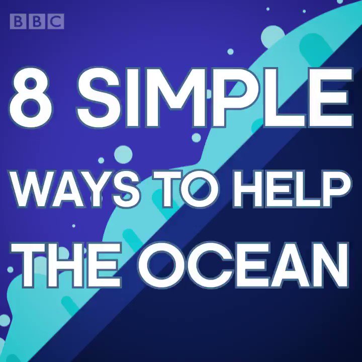 RT @BBCEarth: We all have a part to play in protecting #OurBluePlanet.
#BluePlanet2 https://t.co/ESc27LyStV