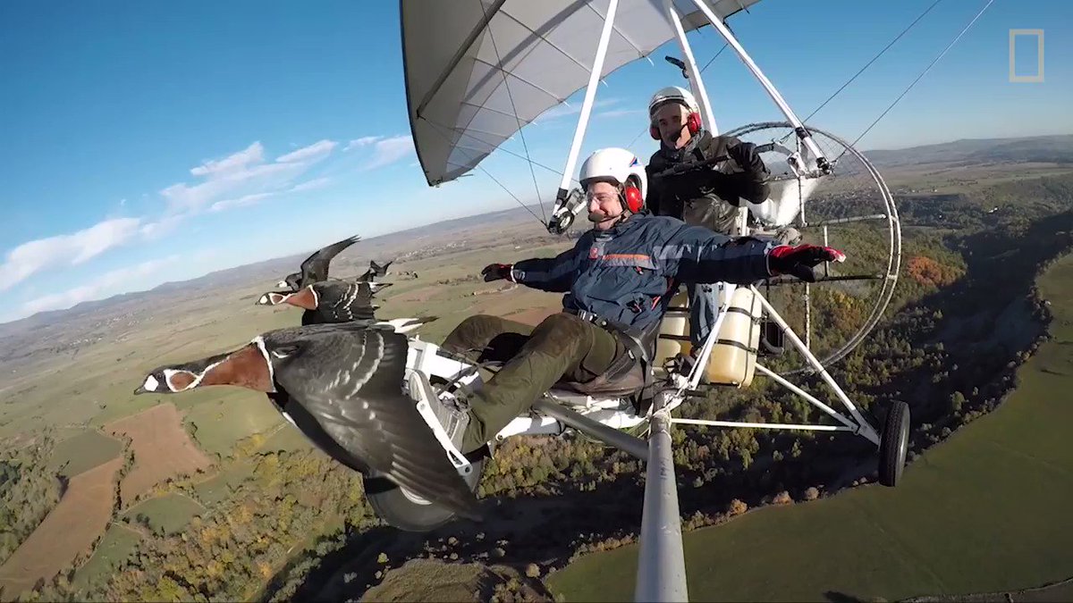 RT @NatGeo: Did you ever wish you could fly? This man's been doing it for more than 20 years https://t.co/Aqz2SiZdnc