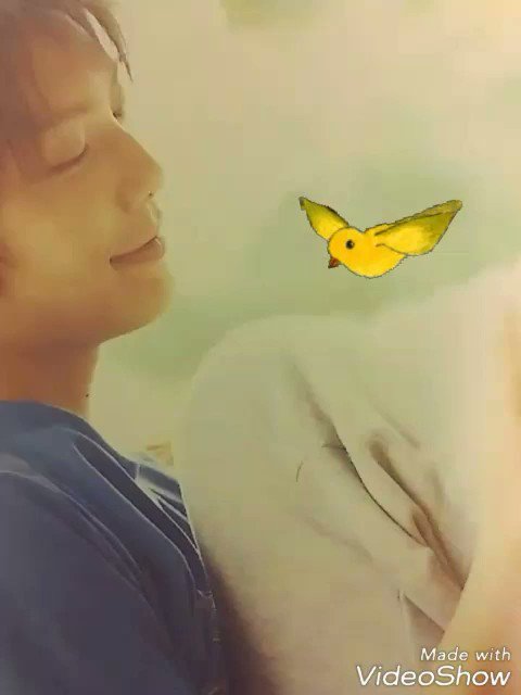 If I were bird, そろそろ戻って来ない?もちろん、拠点はそのままで良いよ🎵時々、帰って来て俳優の仕事してく If I were bird, そろそろ戻って来ない?もちろん、拠点はそのままで良いよ🎵時々、帰って来て俳優の仕事してく