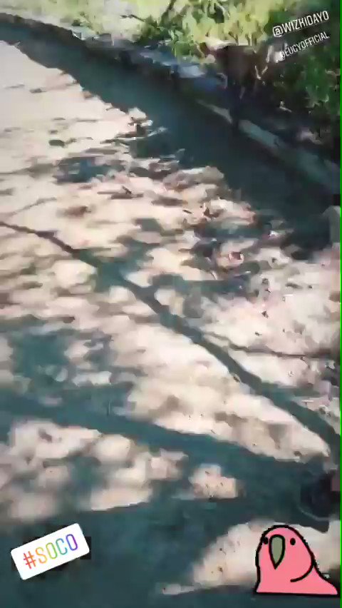 ✨ #wizkidayo @EugyOfficial #soco https://t.co/nuITpJoDsm