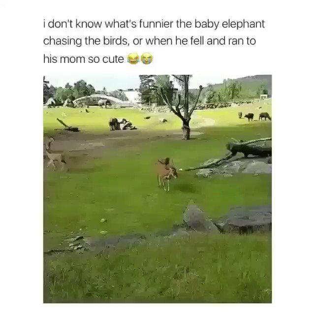 This brightened up my morning hahaha ???????? https://t.co/o644lIjnLS