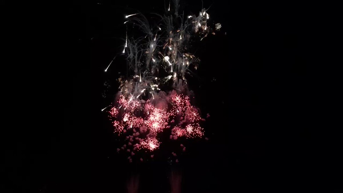 🎇打ち上げ花火はやっぱ動画だな🎆#和歌山港まつり花火大会 🎇打ち上げ花火はやっぱ動画だな🎆#和歌山港まつり花火大会