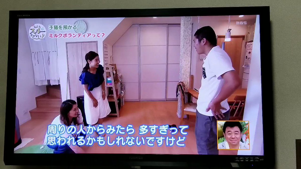 地上波に淫夢厨はまずいですよ! 地上波に淫夢厨はまずいですよ!