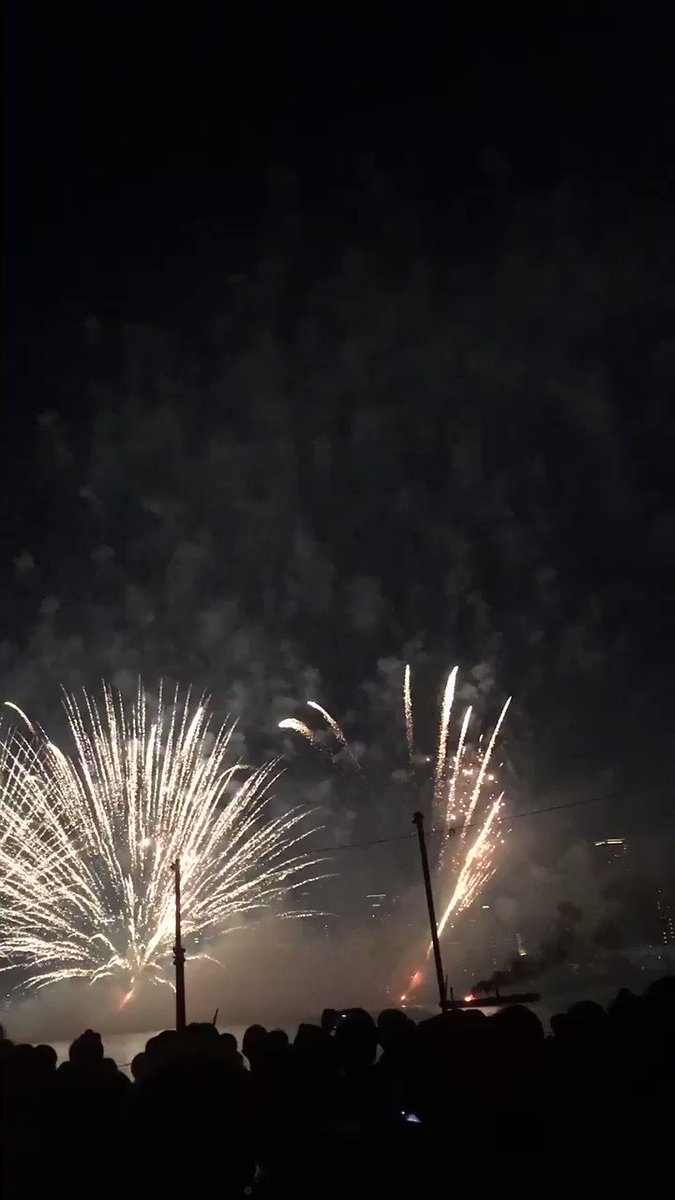 大阪淀川花火④#あたしンち 大阪淀川花火④#あたしンち