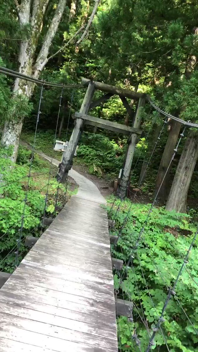 新潟県津南町の、秋山郷「見倉橋」結構ゆれゆれの吊り橋で、"6〜7人が限界です"と、注意書きしてあった( ^ω^ )NHK 新潟県津南町の、秋山郷「見倉橋」結構ゆれゆれの吊り橋で、"6〜7人が限界です"と、注意書きしてあった( ^ω^ )NHK
