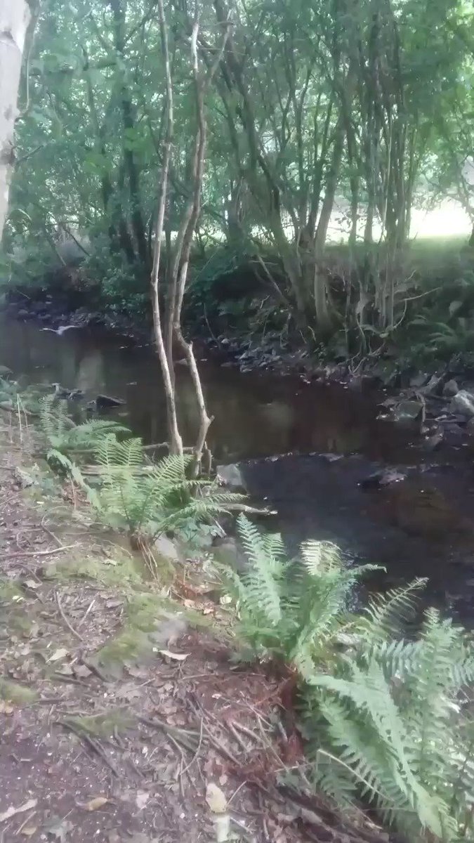 Glanmire
