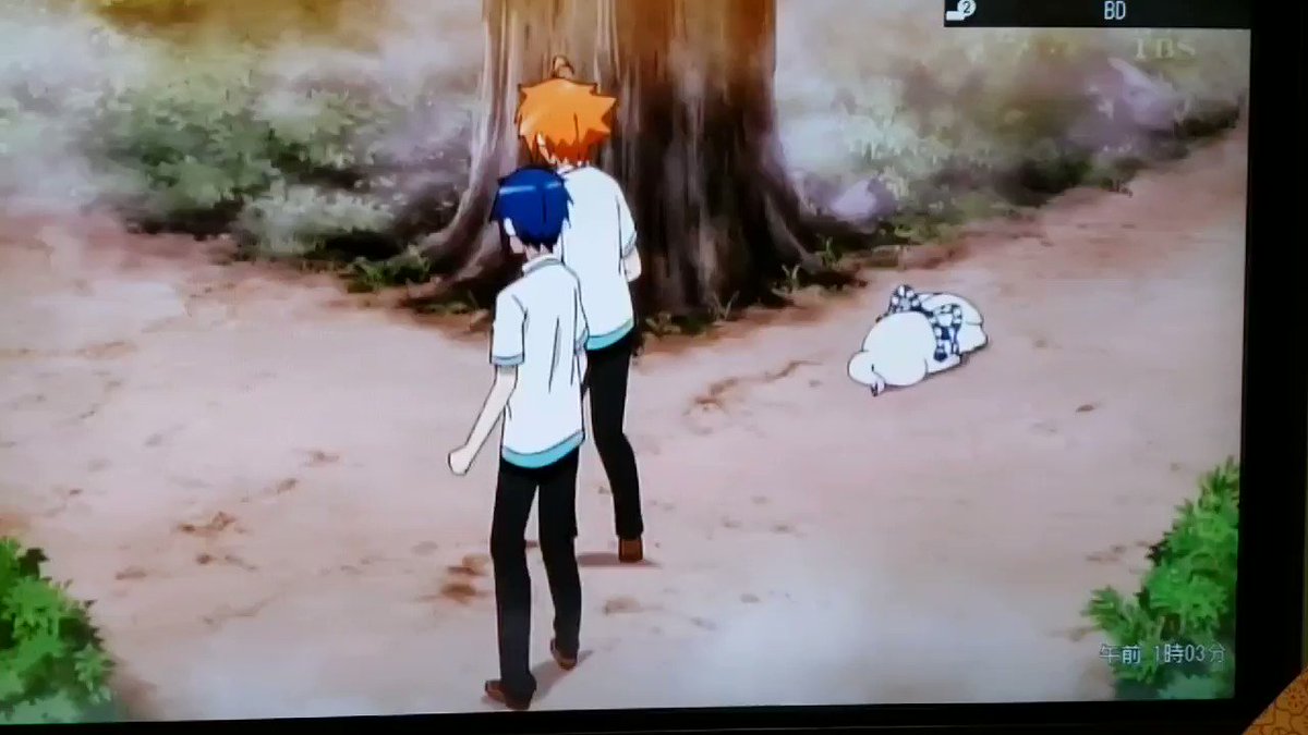 暇だしミイ飼い11話見てから寝るか(さっさ寝ろよところでこれ、絶対スタイリッシュせーので合わせたよな#ミイラの飼い方 暇だしミイ飼い11話見てから寝るか(さっさ寝ろよところでこれ、絶対スタイリッシュせーので合わせたよな#ミイラの飼い方