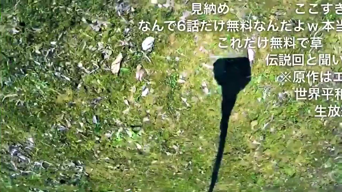 伝説の回(?)が無料してる早く見よう。。このアニメ(?)は本来エロゲです#野良ととノラと皇女と野良猫ハート 第6話「世界 伝説の回(?)が無料してる早く見よう。。このアニメ(?)は本来エロゲです#野良ととノラと皇女と野良猫ハート 第6話「世界