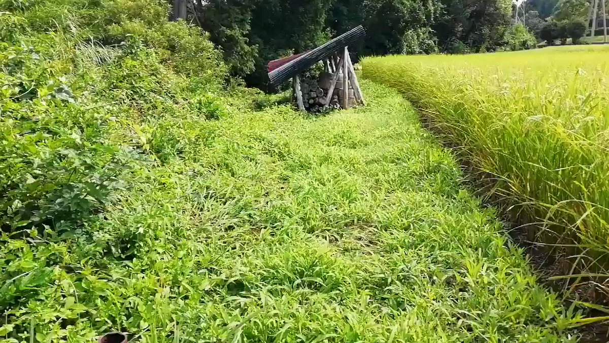 ナウシカの世界に来た~ ナウシカの世界に来た~