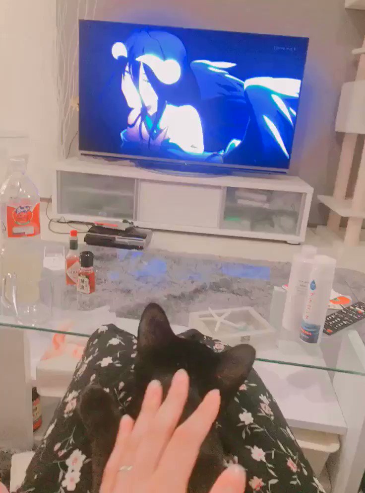 チョコくんとオーバーロードみる😍💕 チョコくんとオーバーロードみる😍💕