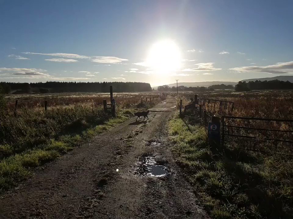 Aberfoyle