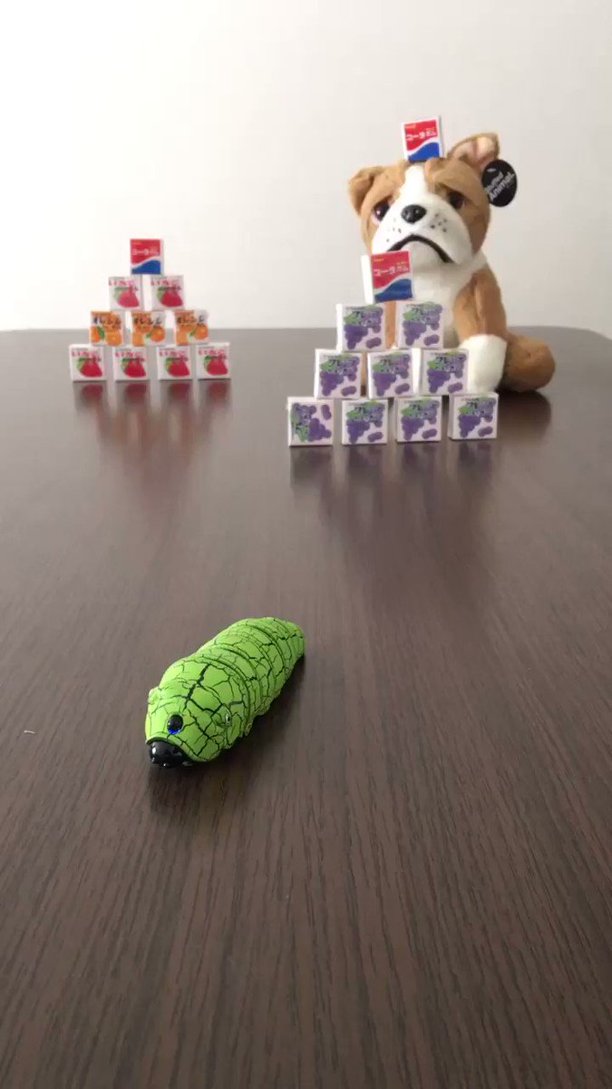 ※虫&音量注意( 'д'⊂ 彡☆))Д´) パーン今日は朝の9時過ぎからゲームコーナー行ってきたよ♡←ダメ人間クレゲ& ※虫&音量注意( 'д'⊂ 彡☆))Д´) パーン今日は朝の9時過ぎからゲームコーナー行ってきたよ♡←ダメ人間クレゲ&