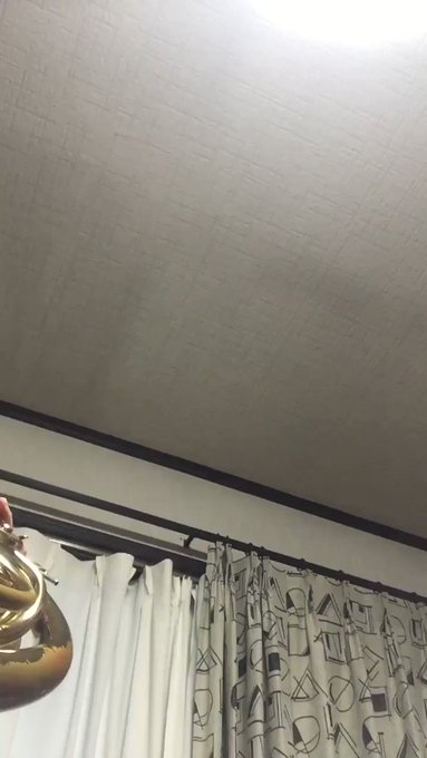 響けユーフォニアム!ホルンで吹いてみたよ〜(o・∇・o) 響けユーフォニアム!ホルンで吹いてみたよ〜(o・∇・o)