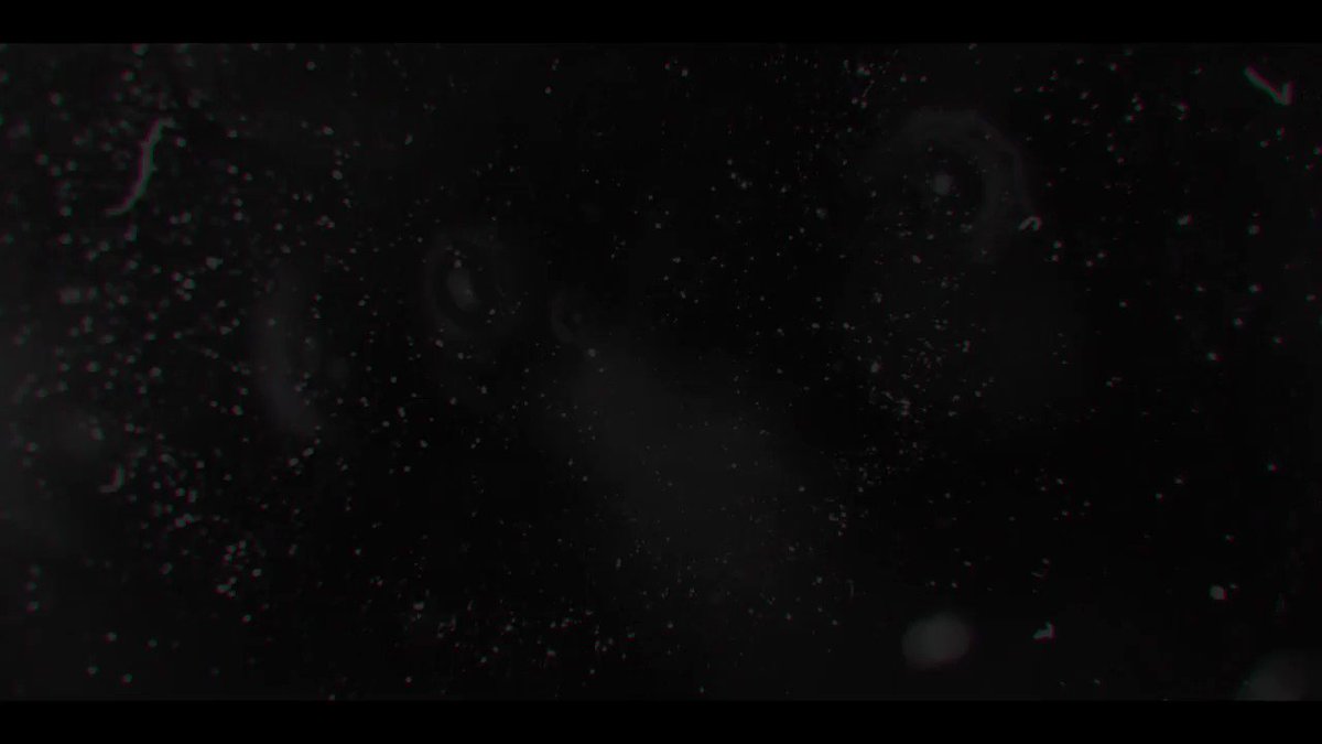 Shadow and Truth (ACCA13区監察課OP) /ダズビー×RosaH COVER今回は大好きなTVアニ Shadow and Truth (ACCA13区監察課OP) /ダズビー×RosaH COVER今回は大好きなTVアニ