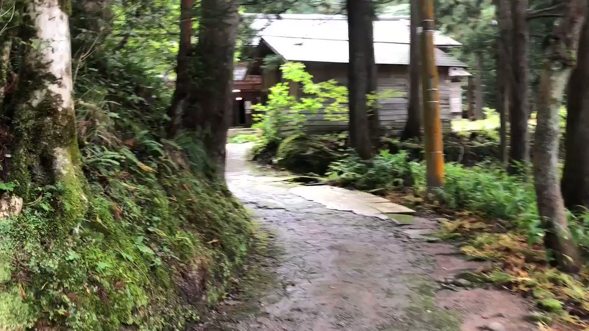 おおかみこどもの花の家🏠すごーい👏✨ おおかみこどもの花の家🏠すごーい👏✨