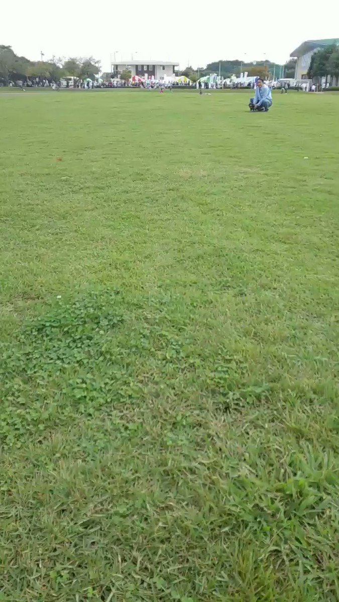 12歳8ヶ月 U^ェ^U久し振りに 少し走らせてみたらまだまだこんなに元気に あたしに向かってまっしぐら(﹡֦ƠωƠ֦﹡ 12歳8ヶ月 U^ェ^U久し振りに 少し走らせてみたらまだまだこんなに元気に あたしに向かってまっしぐら(﹡֦ƠωƠ֦﹡