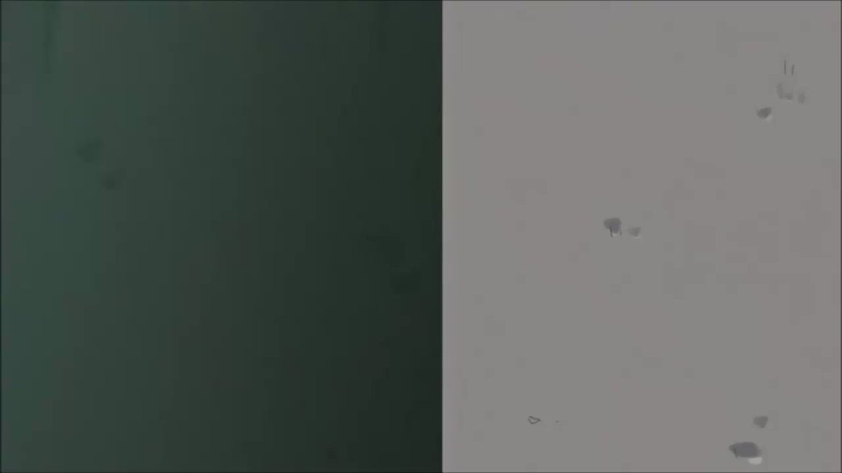 ちおちゃんの通学路 このやりとり・・・めんこい。#潜入開始 ちおちゃんの通学路 このやりとり・・・めんこい。#潜入開始