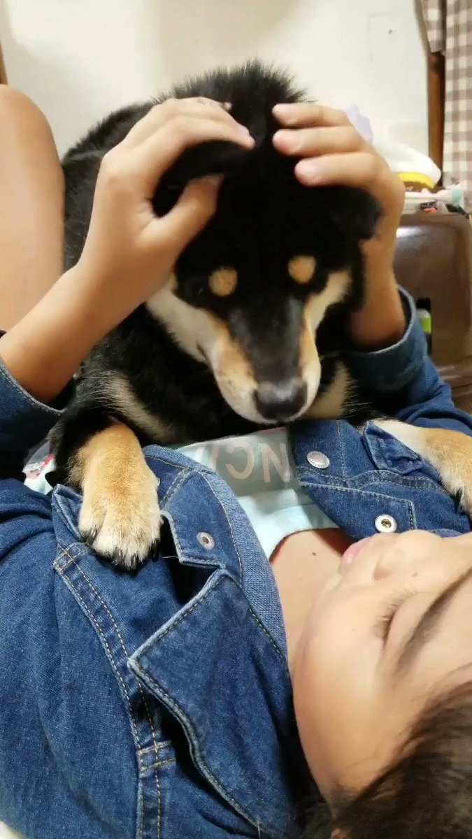 ヒミツのここたま♪より ヒミツのここたま♪より