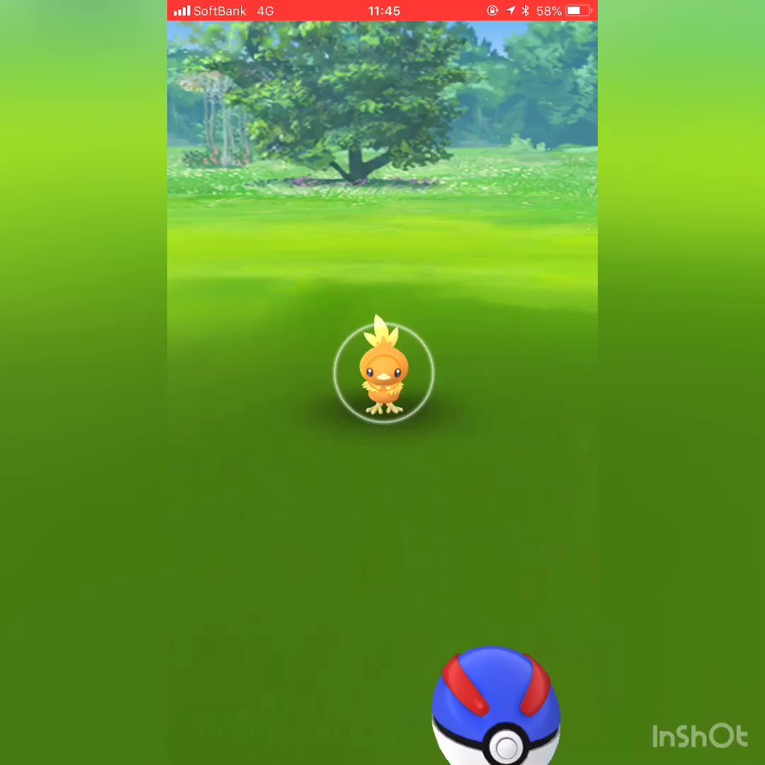 ネットワークエラーでイライラが溜まっている皆様。ここはひとつポケモンgoで一番可愛いアクションだと思われるアチャモの攻撃 ネットワークエラーでイライラが溜まっている皆様。ここはひとつポケモンgoで一番可愛いアクションだと思われるアチャモの攻撃