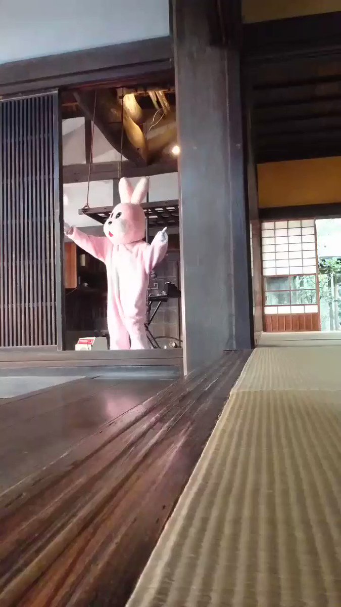 今日のコム(「ぐるぐるポンポン大作戦」MV撮影中。姉を隠し撮る😸MVはこちら↓ぐるぐるポンポン大作戦 / elfin'( 今日のコム(「ぐるぐるポンポン大作戦」MV撮影中。姉を隠し撮る😸MVはこちら↓ぐるぐるポンポン大作戦 / elfin'(
