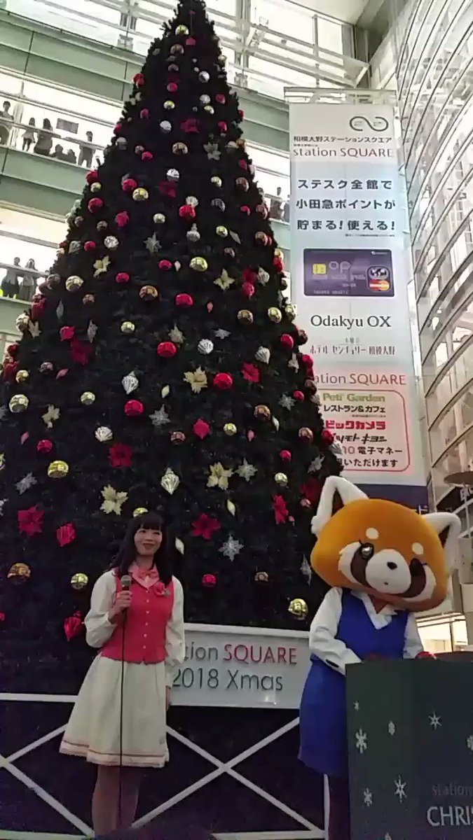 相模大野ステーションスクエア3階のクリスマスツリー点灯式の点灯の瞬間です。#アグレッシブ烈子 #相模大野ステーションスク 相模大野ステーションスクエア3階のクリスマスツリー点灯式の点灯の瞬間です。#アグレッシブ烈子 #相模大野ステーションスク