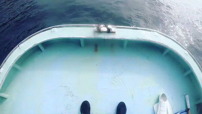 冬の海遊びはこれから!一年中潜ってるんですか?とか、冬仕事なにしてるんですか?とか聞かれる事もあります。寒いもんねー。で 冬の海遊びはこれから!一年中潜ってるんですか?とか、冬仕事なにしてるんですか?とか聞かれる事もあります。寒いもんねー。で
