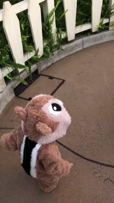 この動画は可愛すぎてお気に入り❤︎#ディズニーランド#チップとデール#姉妹#仲良し#お姉ちゃん#優しい この動画は可愛すぎてお気に入り❤︎#ディズニーランド#チップとデール#姉妹#仲良し#お姉ちゃん#優しい