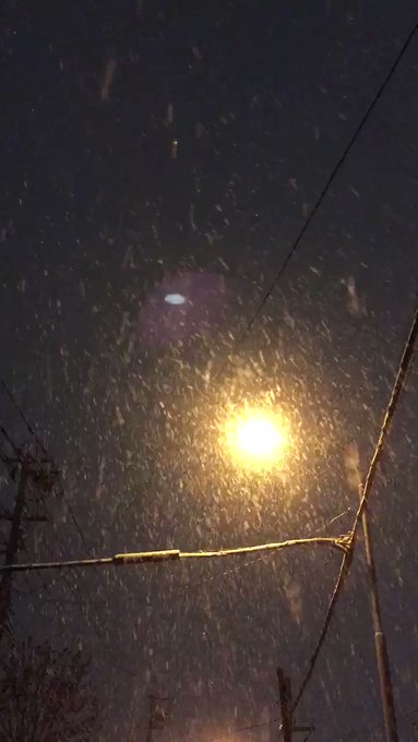 雪の中、自販機までお散歩してきた🚶♂️🚶♀️💨✨✨雪が桜🌸に見えて、大好きな映画#秒速5センチメートルを思い出したよ 雪の中、自販機までお散歩してきた🚶♂️🚶♀️💨✨✨雪が桜🌸に見えて、大好きな映画#秒速5センチメートルを思い出したよ