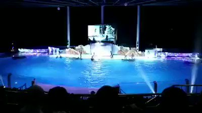 💔アドベンチャーワールド:最悪のイルカショー最低の施設、と噂のアドベンチャーワールドに行ってきました。イルカショーはこれ 💔アドベンチャーワールド:最悪のイルカショー最低の施設、と噂のアドベンチャーワールドに行ってきました。イルカショーはこれ