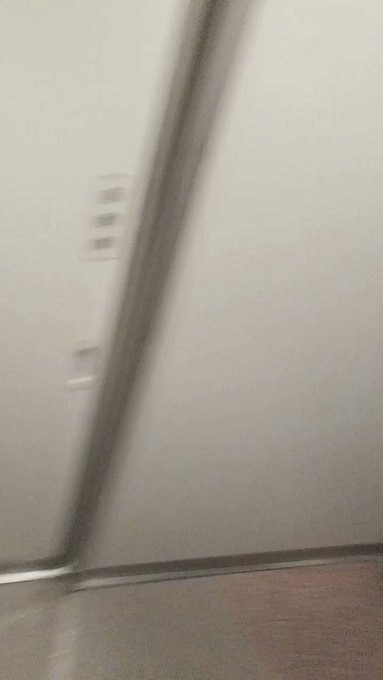 千と千尋の神隠しごっこ(つたわれ) 千と千尋の神隠しごっこ(つたわれ)