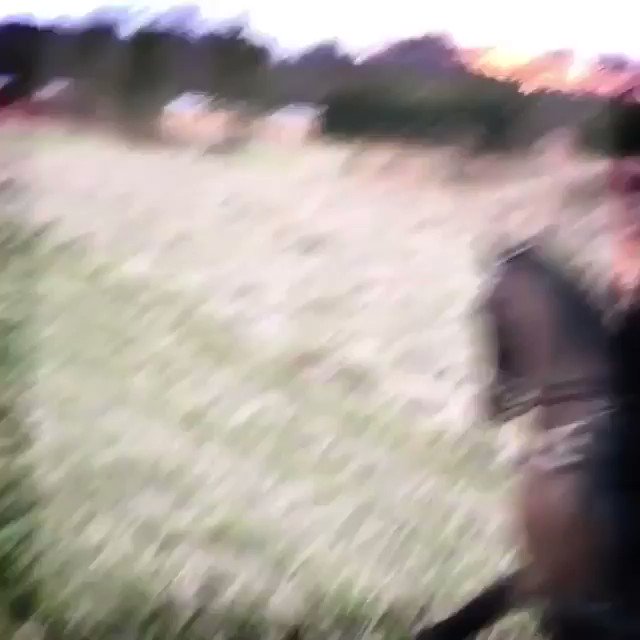 First Ride of 2019 in my beloved Ubertus..........So much Better Now! ???????????????????? #ride #horses #nature #live #life #2019 https://t.co/outO5WUfKU