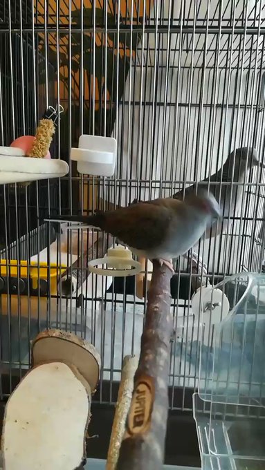 おはでポー!きょうはくもくもでさむさむだポーせっかくの三連休なのに残念だポーささみさんときょうも楽しく遊ぶポー おはでポー!きょうはくもくもでさむさむだポーせっかくの三連休なのに残念だポーささみさんときょうも楽しく遊ぶポー