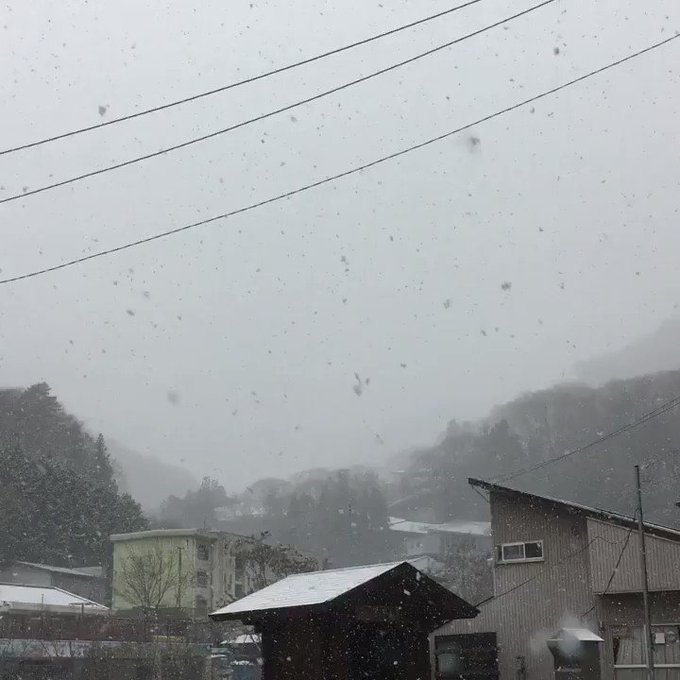 うぇーーーい!芦安雪だーー!ついにこの時期がやって来たw寒、寒、さぶ。ゆるキャン△コタツで暖まろ^^#なとり屋#芦安#夜 うぇーーーい!芦安雪だーー!ついにこの時期がやって来たw寒、寒、さぶ。ゆるキャン△コタツで暖まろ^^#なとり屋#芦安#夜