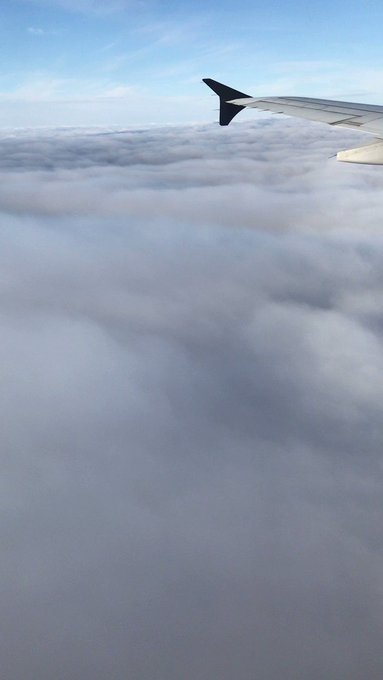 ナウシカ大好きマンなので雲が近づくと「雲に押し付けて乗り移る気だ!!」のシーンを思い出します。 ナウシカ大好きマンなので雲が近づくと「雲に押し付けて乗り移る気だ!!」のシーンを思い出します。