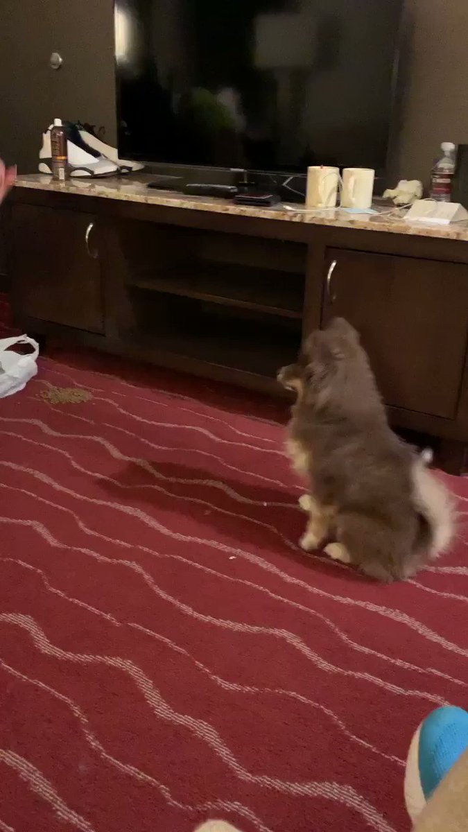RT @RusevBUL: Good thing i have them!!! https://t.co/JG2yesdnT0