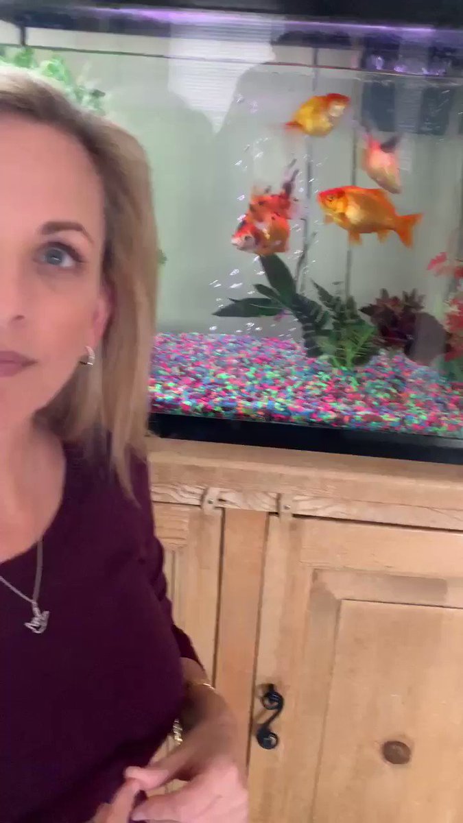 I’m having #goldfish problems. Anybody. PS Don’t pay attention to my bad hair day...???? https://t.co/zOPW0PF1R6
