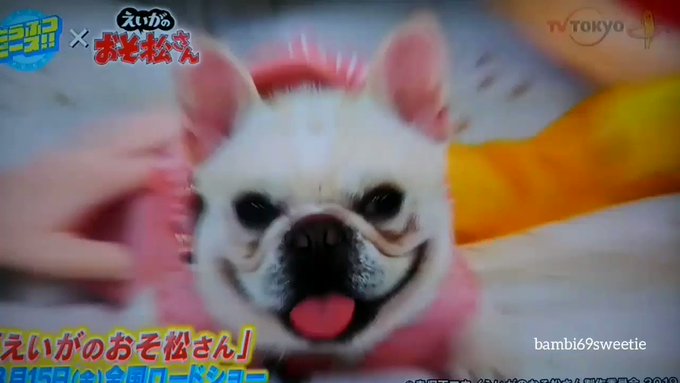 この間の着ぐるみちゃん❤️可愛すぎた❤️ちょっぴりだったけど、祝📺ゴールデンタイム✨#おそ松さん #えいがのおそ松さん この間の着ぐるみちゃん❤️可愛すぎた❤️ちょっぴりだったけど、祝📺ゴールデンタイム✨#おそ松さん #えいがのおそ松さん