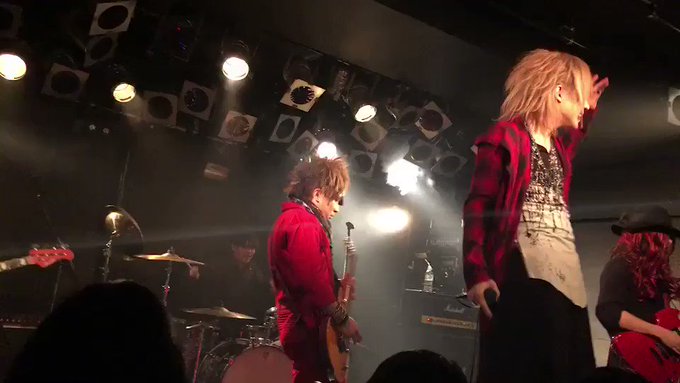 ピンクスパイダーとは？急上昇ワードまとめ