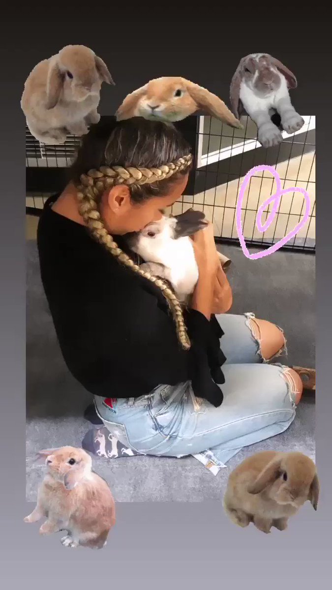 My friend rescued a bunny and named her Lady Leona ????❤️ https://t.co/V1ic4kjq9g