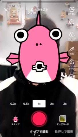 TikTokでビジネスフィッシュの魚顔アバター(スタンプ)がスタートϵ( 'Θ' )϶撮影時に、スタンプ→origina TikTokでビジネスフィッシュの魚顔アバター(スタンプ)がスタートϵ( 'Θ' )϶撮影時に、スタンプ→origina